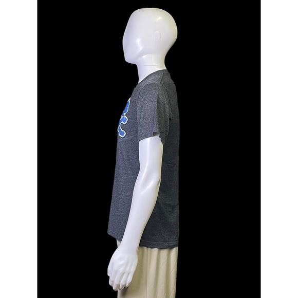 2014 NFL Team Apparel Detroit Lions Football Graphic T-Shirt Men's Size Medium - Picture 3 of 8